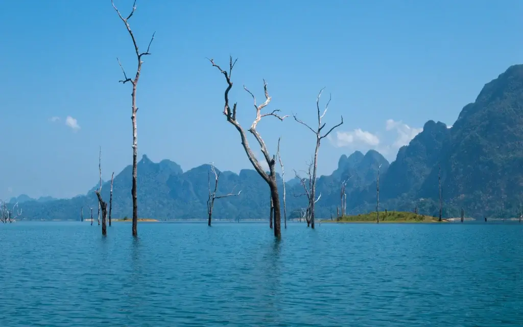 Wasser und bewaldete Felsen am Chiew-Lan-See