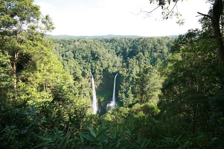 Die Tad-Fane-Wasserfälle in der bewaldeten Schlucht des Bolaven-Plateaus, Südlaos