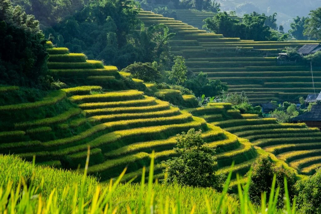sapa – Vietnam