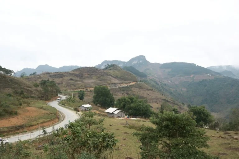 Straße durch ein grünes Bergtal in der Reiseregion Ha Giang