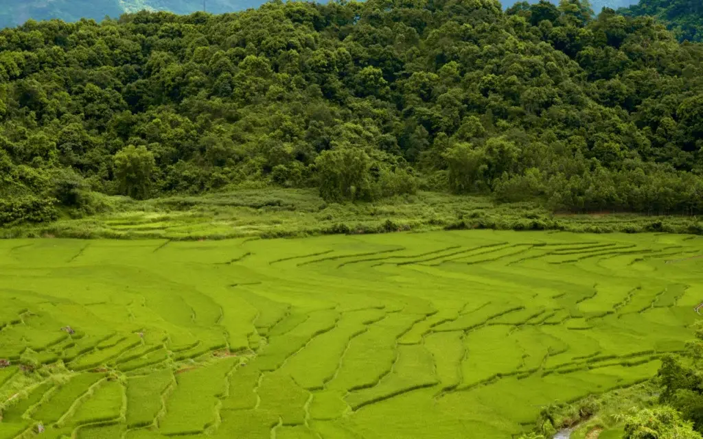 Pu Luong – Reiseimpression