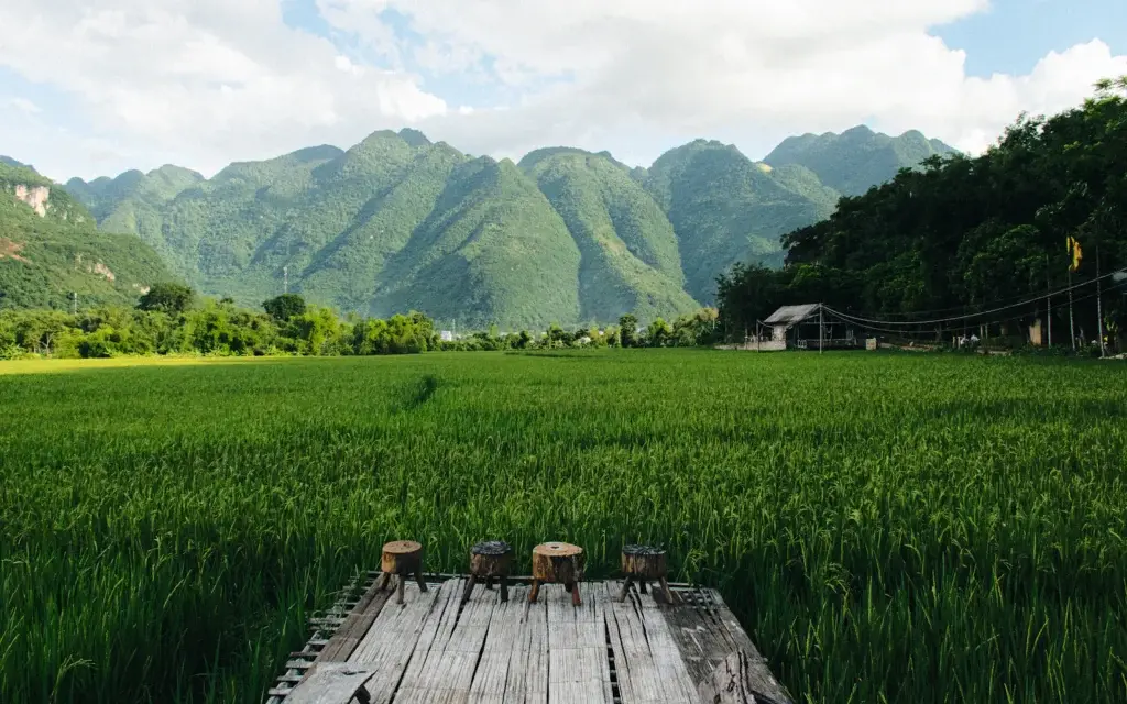 Mai Chau